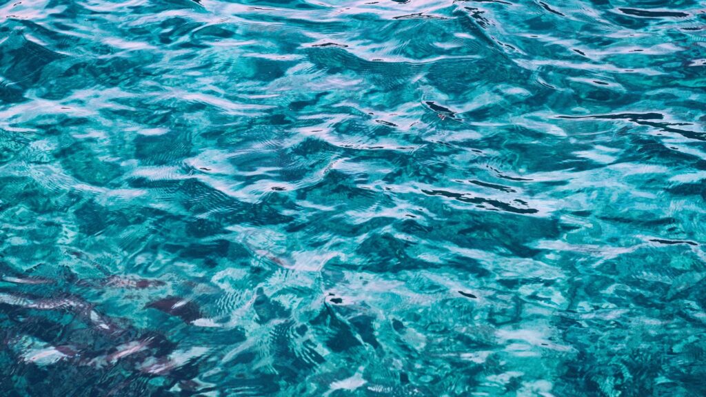 blog-header-template