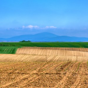 fertile_soil-e1407893530237