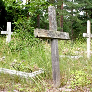 Old abandoned cemetery with wooden crosses in Pape, Latvia