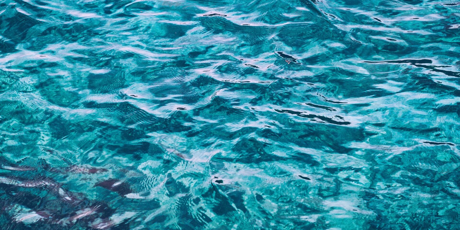 blog-header-template