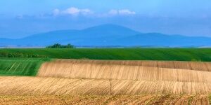 fertile_soil-e1407893530237